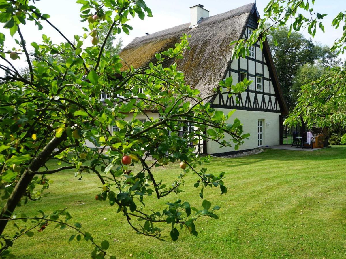 Nonnevitz Haus Bela 아파트 외부 사진
